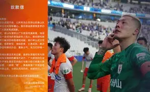 凤凰娱乐下载-山东泰山胜上海绿地申花，掠夺三分的简单介绍